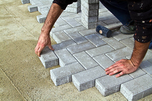 Best Local Driveway Pavers  in Luckey, OH